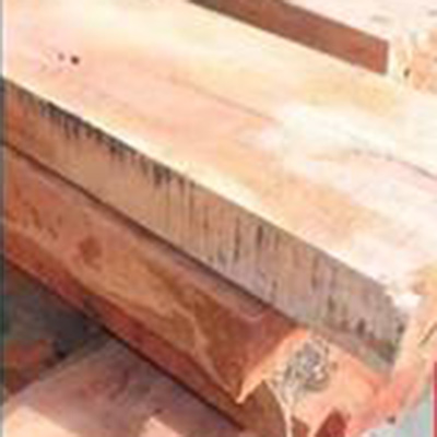 Wood Angle Grinder Disko-Potenca-Ilo-DETAILS5
